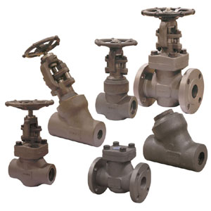 Forged Valves